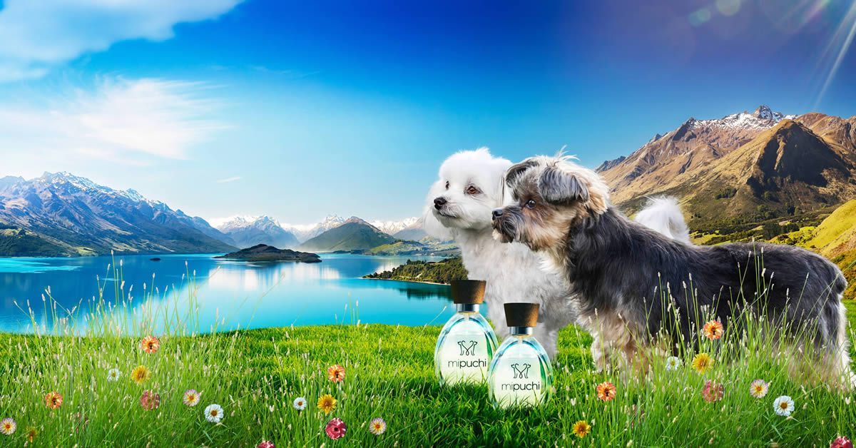 Mipuchi Dog Perfumes – Mipuchi New Zealand Limited
