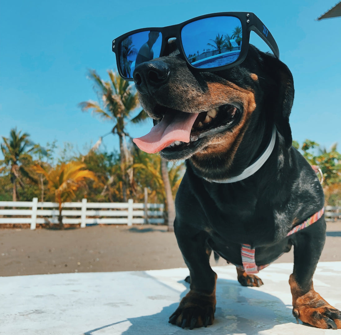 Taking a vacation with your best friend